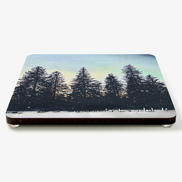 Winter Wonderland Coaster