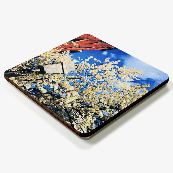 Cultivate Coaster
