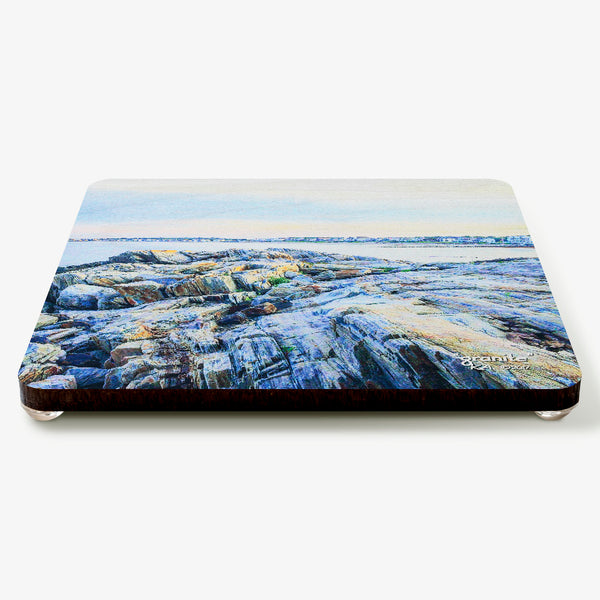 Granite Coaster