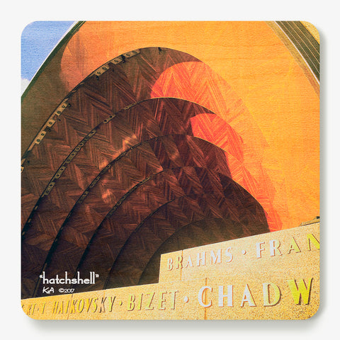 Hatchshell Coaster