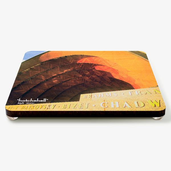 Hatchshell Coaster