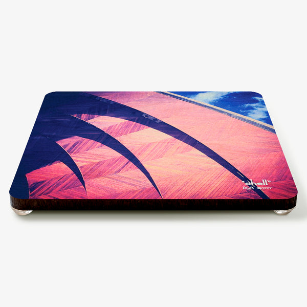 Shell Coaster