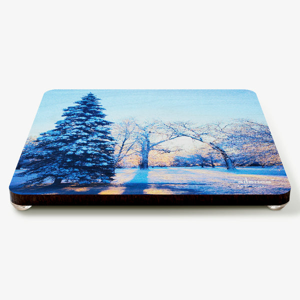 Silence Coaster