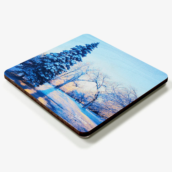 Silence Coaster