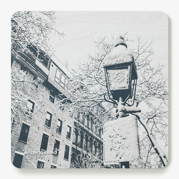 Snowkissed Coaster