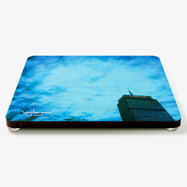 Undersea Coaster
