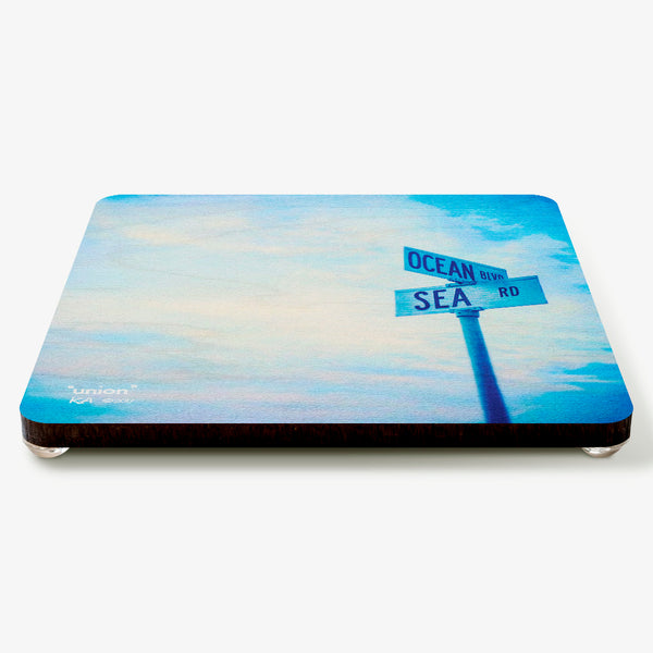Union Coaster