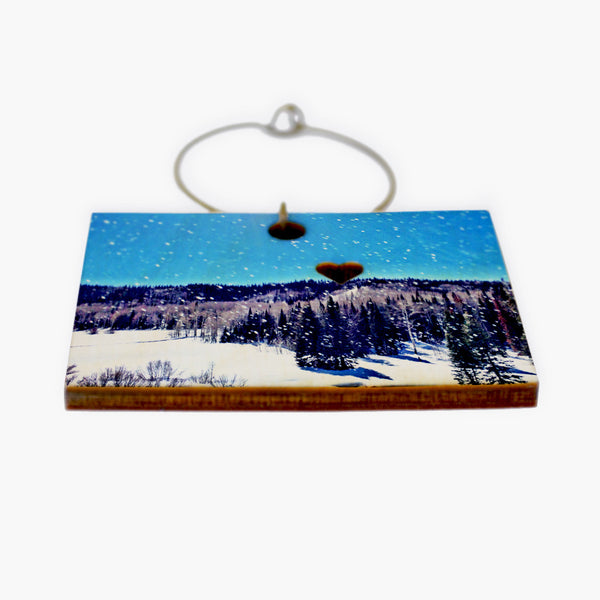 Snowdance Wine Charm