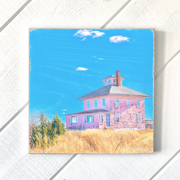 The Pink House Wall Art