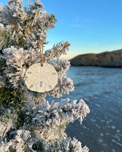 Sand Dollar Ornament