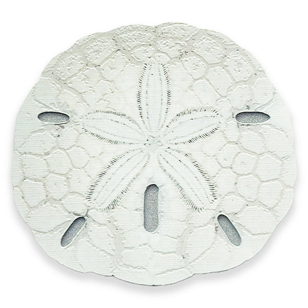 Sand Dollar Coaster (Silver)