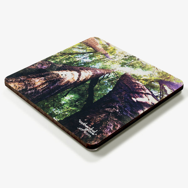 Cathedral Grove Coaster