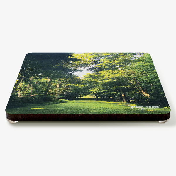 Green Roots Coaster