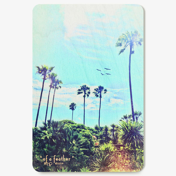 Of a Feather Postcard